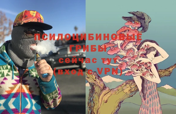 мдпв Краснотурьинск