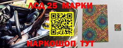 прущие грибы Нальчик