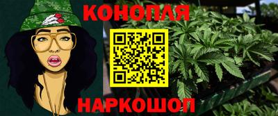 прущие грибы Нальчик