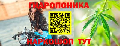 прущие грибы Нальчик
