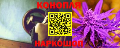 прущие грибы Нальчик