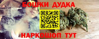 прущие грибы Нальчик