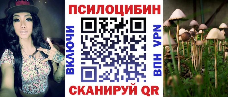 Галлюциногенные грибы GOLDEN TEACHER  купить  цена  kraken ТОР  Сафоново 