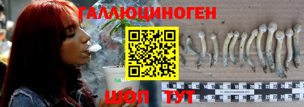 Псилоцибиновые грибы мицелий  Вход с VPN  Сафоново 