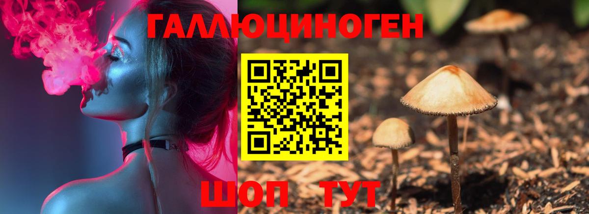 Псилоцибиновые грибы прущие грибы Сафоново